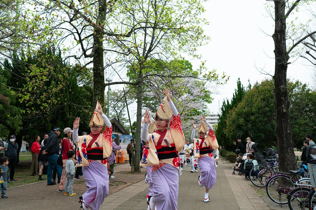 みさとの桜祭り 2027 | Misato Cherry Blossom Festival