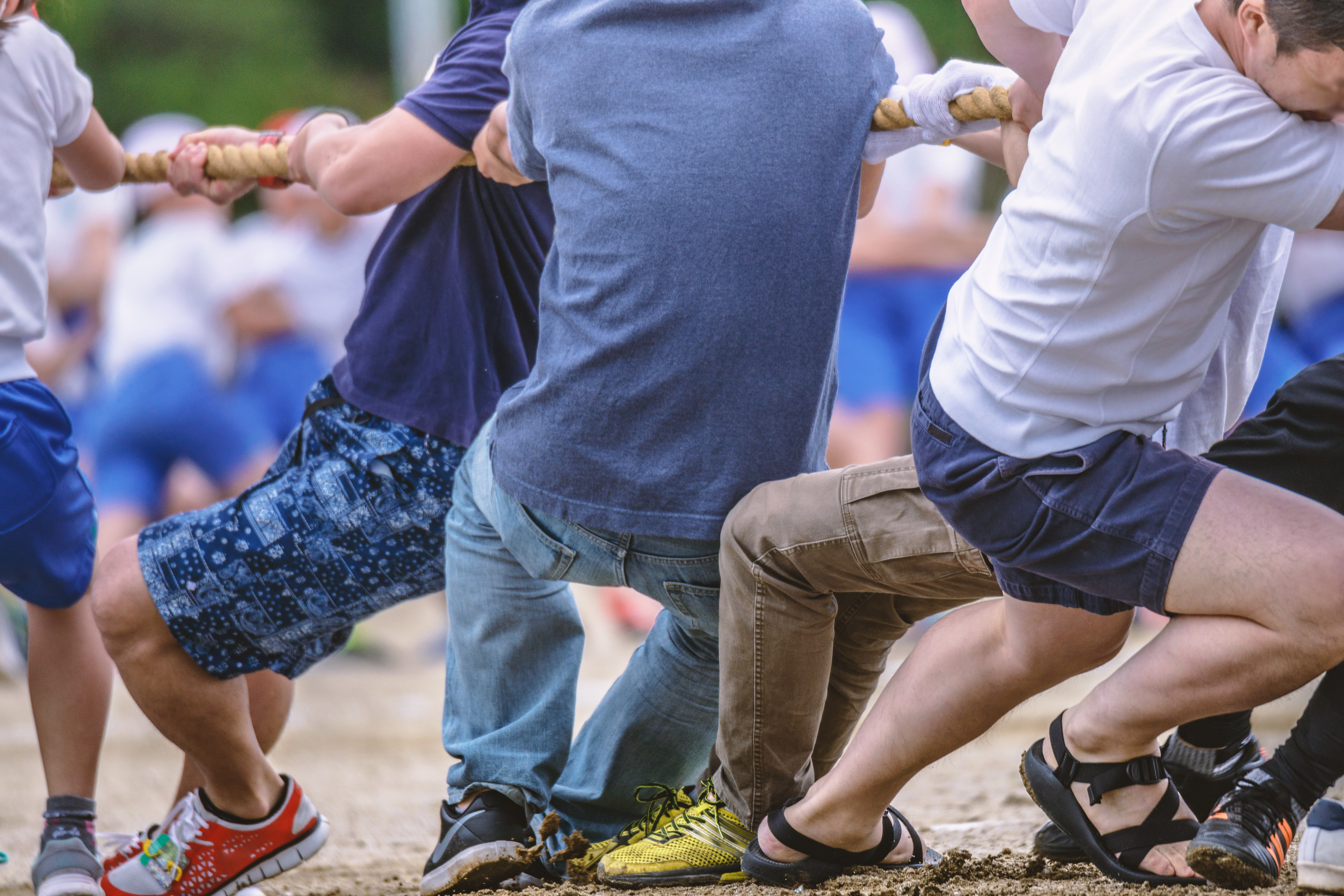 みさとの桜祭り 2026